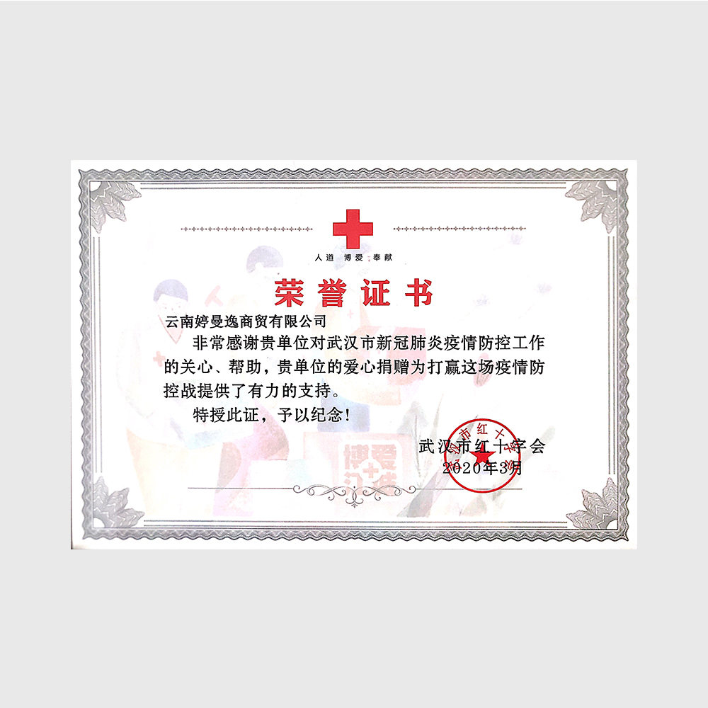 新冠捐赠--武汉市红十字会
